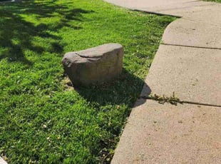 Craig T.'s Lawn Service service result