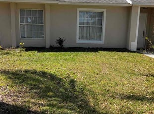 Cleanups by Buck Robinson for Kristina T. in Clermont, FL