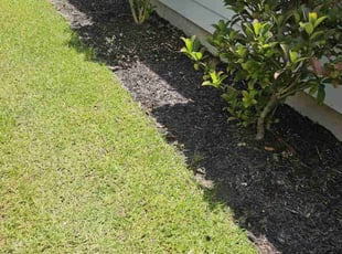 Weeding by Jason Hughes for Michael P. in Pooler, GA