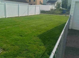 Linda B.'s Grass Cutting service result