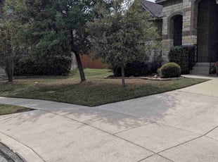 Niki W.'s Lawn Mowing Service service result