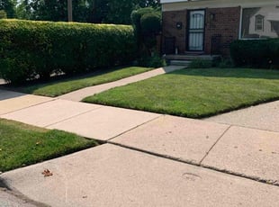 Bina H.'s Lawn Service service result