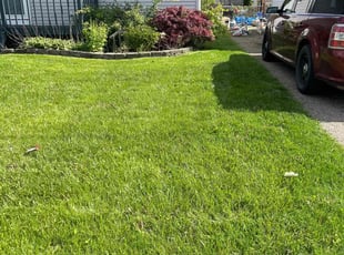 Joshua T.'s Lawn Service service result