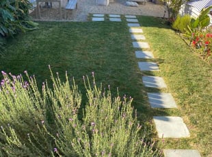 Joel M.'s Lawn Service service result
