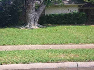Thomas B.'s Yard Cutting service result