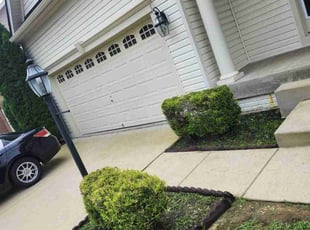 Bush Trimming by Jose Gonzalez for Sharla P. in White Plains, MD