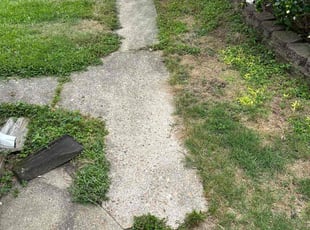 Weeding by Chris Beale for Michelle P. in Virginia Beach, VA