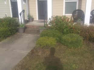 Bush Trimming by Sean Jenkins for Monica C. in Chesapeake, VA