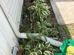 Weeding by Kayden Conn for Liding Y. in Dublin, OH