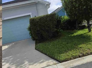 Bush Trimming by Rolando Mojica Betancourt for Susie K. in Orlando, FL