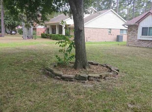 Weeding by Thomas Dilbeck for Agnes S. in Houston, TX