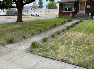 Bush Trimming by Jeff Sidener for Steven M. in Spokane, WA