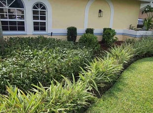 Bush Trimming by Brett Hobaugh for Jeffrey S. in Cape Coral, FL
