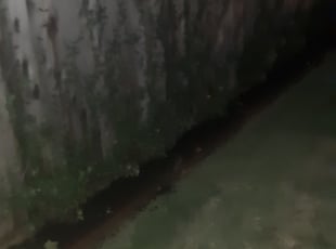 Mulching by Roderick Green for Sam T. in Houston, TX