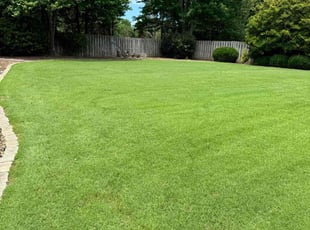 Jeffrey B.'s Yard Cutting service result