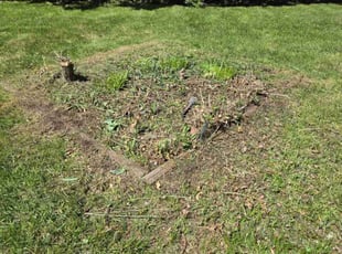 Weeding by Andrew Abrahamson for Heidi S. in Blaine, MN