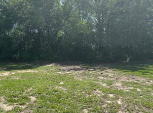 Bush Trimming by dennis Staria for Saury M. in Spring Hill, FL
