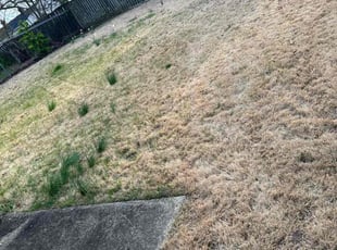 Leaf Removal by Wesley Walkup for Kevin S. in Greater Landover, MD