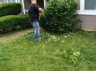 Bush Trimming by Bret Ginter for Leopoldo A. in Dayton, OH
