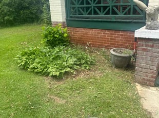 Weeding by Brandon McGee for Kelly G. in Inman, SC
