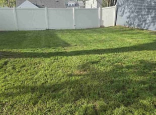 Cleanups by Jacob Jumper for Linda M. in Grand Rapids, MI