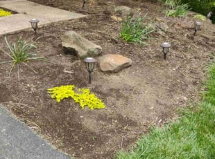 Weeding by Erik Hurley for Dandi D. in Canonsburg, PA