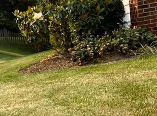 Bush Trimming by Alesandre Duarte for Jeremy P. in Ashburn, VA