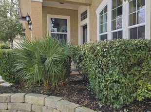 Bush Trimming by Toni Singsonexay for Travelers H. in San Antonio, TX