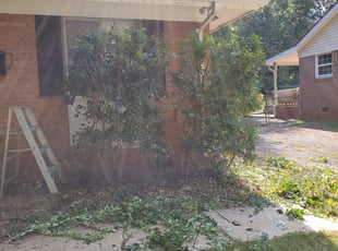 Bush Trimming by Timothy Streater for Alana H. in Charlotte, NC