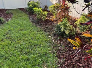 Weeding by Jonathan Holt for Leon D. in Riverview, FL