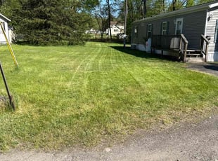 Silvia C.'s Lawn Mowing service result