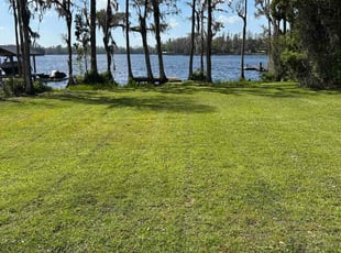 Kathryn S.'s Lawn Care service result