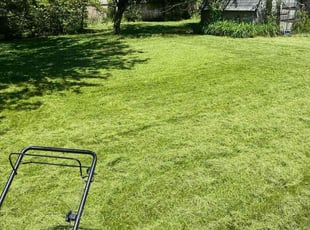 Titus A.'s Grass Cutting service result