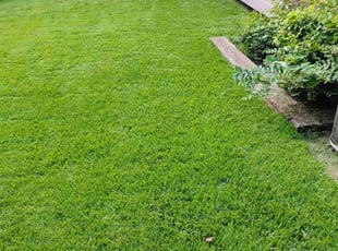 Julia M.'s Lawn Service service result
