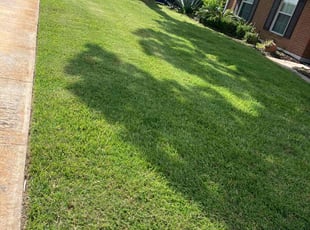Mark F.'s Lawn Care service result