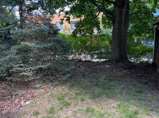 Bush Trimming by Colby Bowling for Jason C. in Pittsburgh, PA