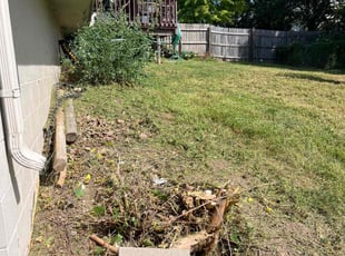 Cleanups by Joe Leyboldt for Steven P. in Omaha, NE
