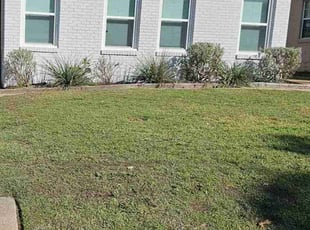 Bush Trimming by Jason Reyes for Esther C. in Dallas, TX