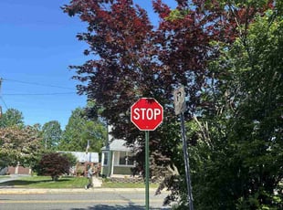 Bush Trimming by Cody Phillips for Denise A. in Northampton, PA
