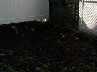 Leaf Removal by Ricardo Lopez for Marjorie T. in Boston, MA