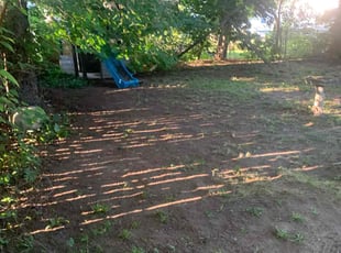 Cleanups by Johnathon Barrett for Sue T. in Grand Rapids, MI