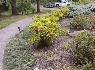 Leaf Removal by Jimmy Craighead for Christopher V. in Mount Airy, MD