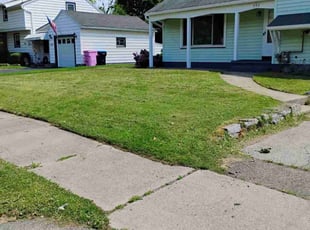 Deborah C.'s Lawn Mowing Service service result