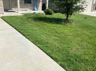 Tricia G.'s Lawn Mowing service result