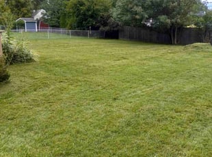 Amy R.'s Lawn Mowing service result
