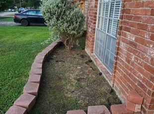Weeding by Briana Rivera for Linda N. in Houston, TX