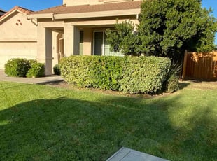 bobby s.'s Yard Cutting service result