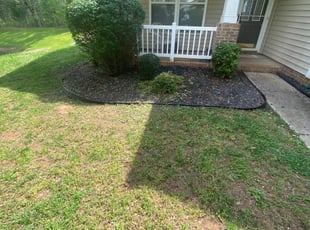 Bush Trimming by Jose Pena for Kim L. in Huntersville, NC
