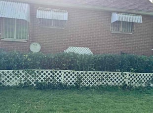 Bush Trimming by Raheem Jones for Willa F. in Dayton, OH