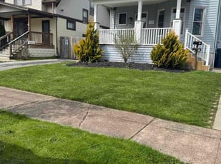 Linda F.'s Lawn Mowing service result